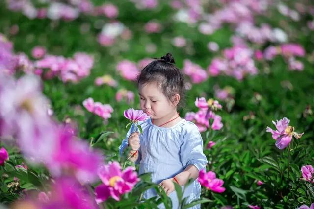 5月25日 与额敏来一场“芬芳花季 芍药之约”