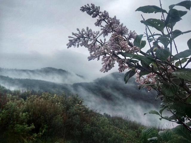 不要活的太明白，太较真，糊涂一点更好