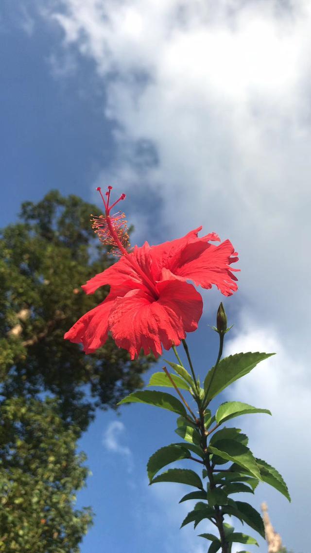 朋友需要空间，相互理解就好