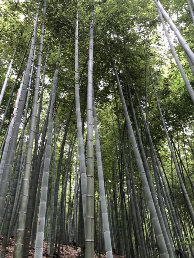 人生永远没有彩排，每一刻都是现场直播