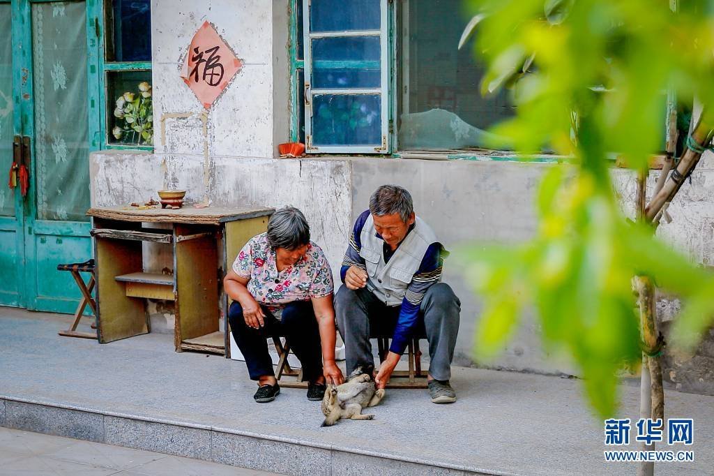 笑从金银花田来——幸福老两口的脱贫攻略