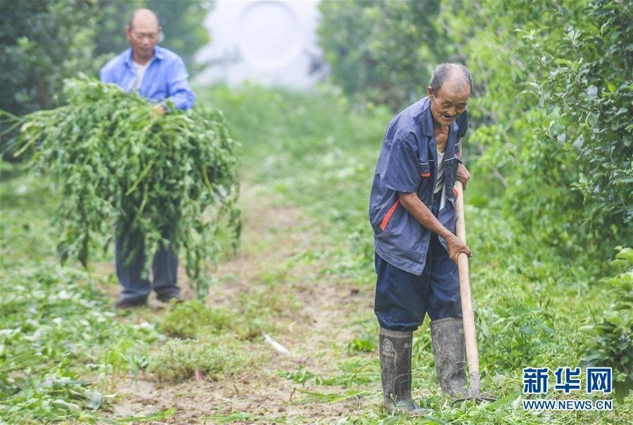 （社会）（1）河北安平：扶贫岗助力就业脱贫