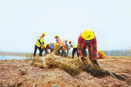 雄安新区建设进行时|打造绿色智慧湿地“雄安样板”