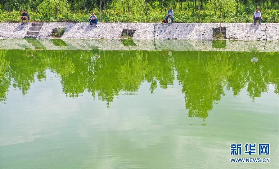 （环境）（1）河北大城：农村生活污水处理站助力乡村振兴